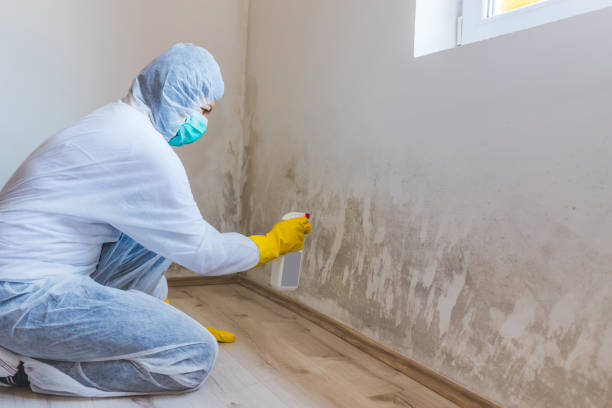 Licensed Mold Inspection service in Pompton Plains, NJ - WQB Mold Removal