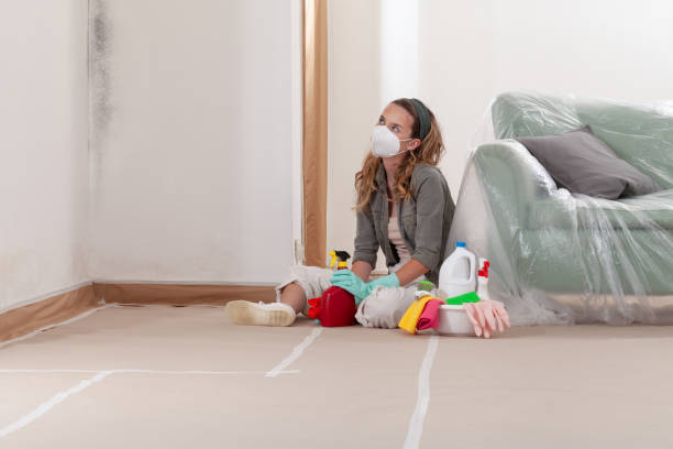 Reliable Mold Inspection contractor in Pompton Plains, NJ by WQB Mold Removal